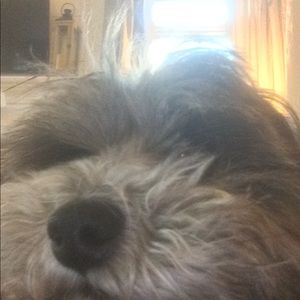 Meet your Posher, Elijah